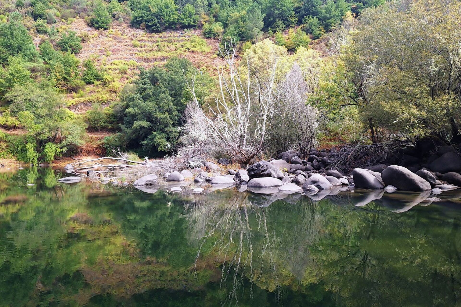 Gold vs. Bonds: Why I Trust a Finite Asset Over an Infinite Government Promise