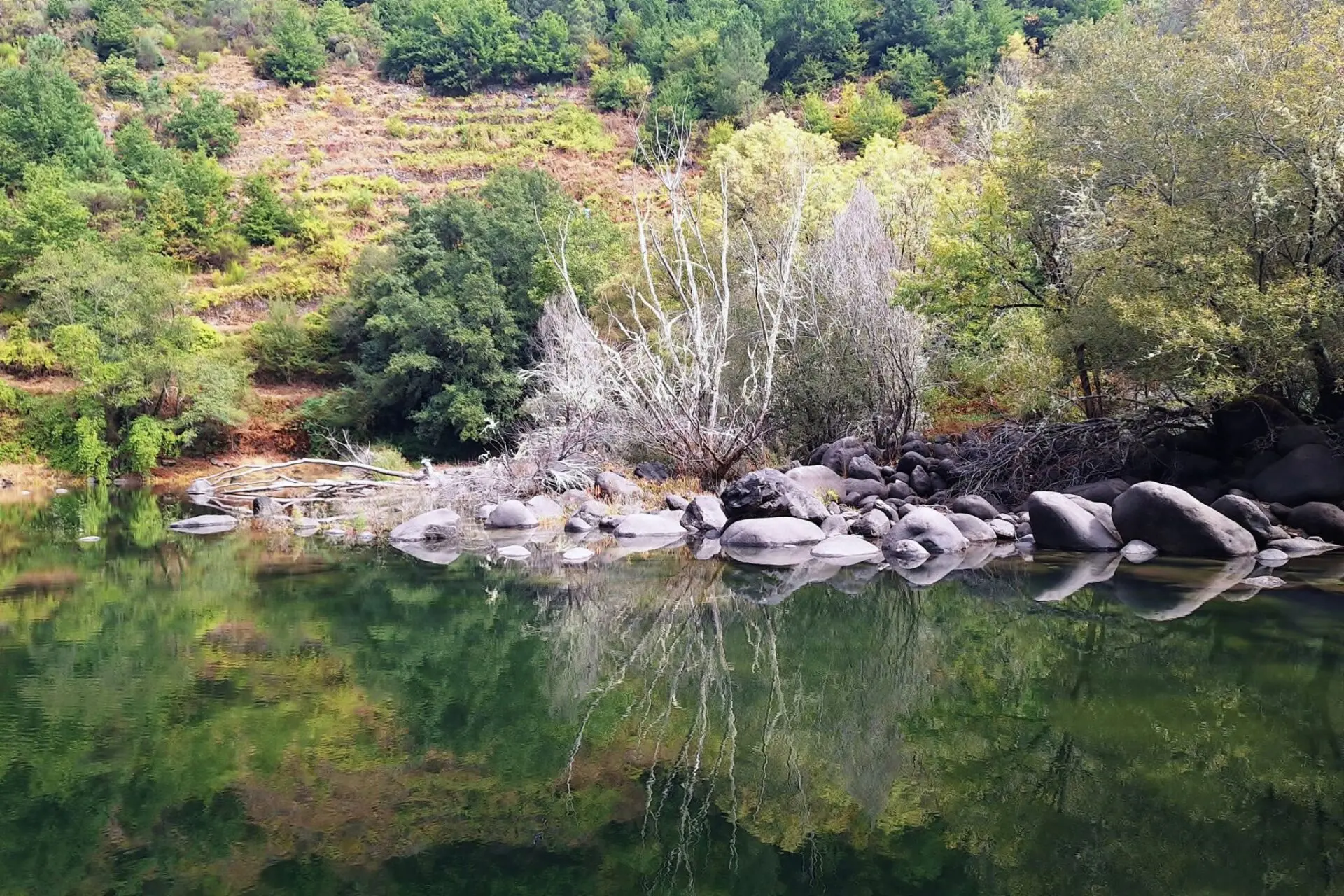 My Portfolio vs AI: Five Models Walk Into a Macro Stress Test