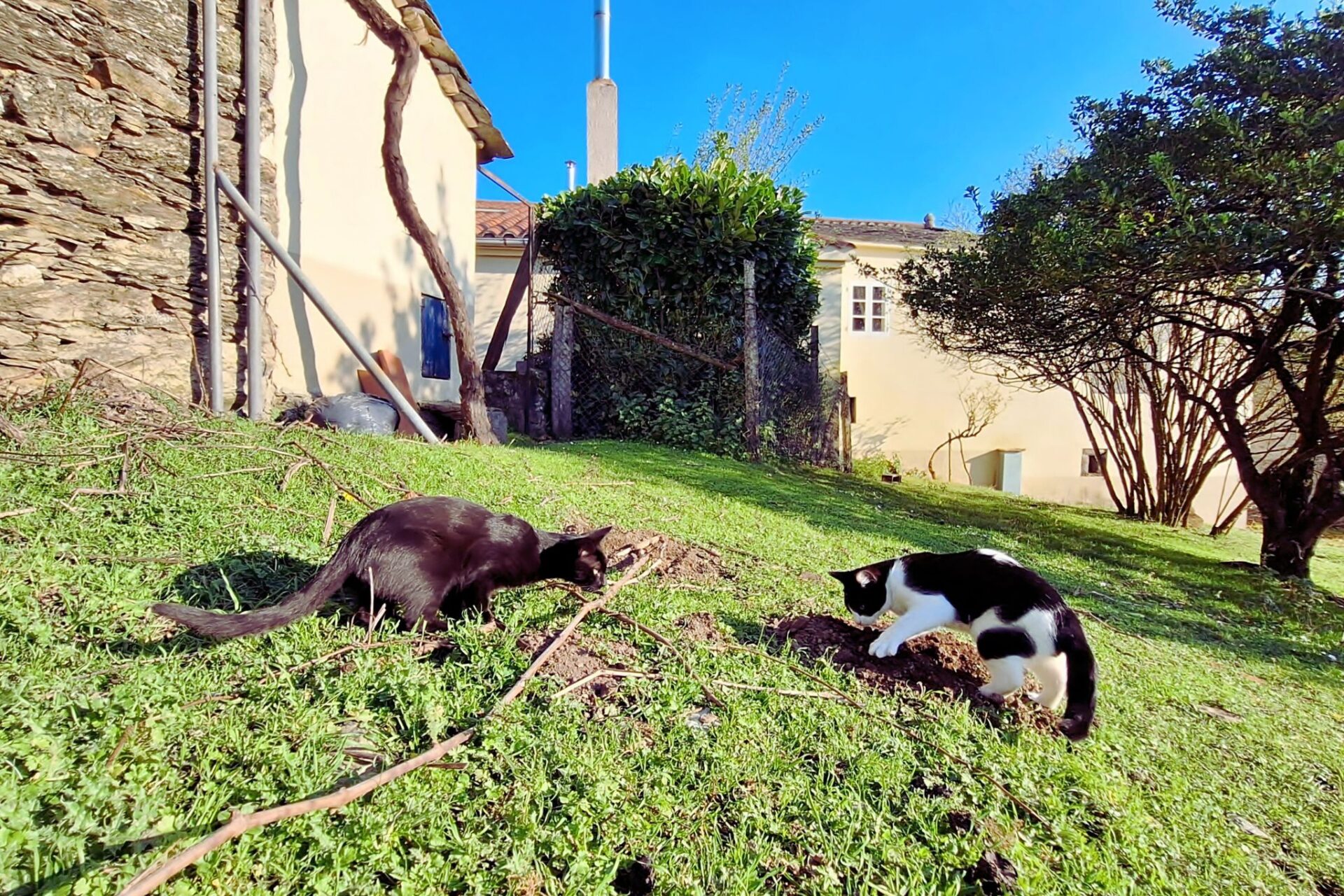 The Media Machine and the Art of Looking Away