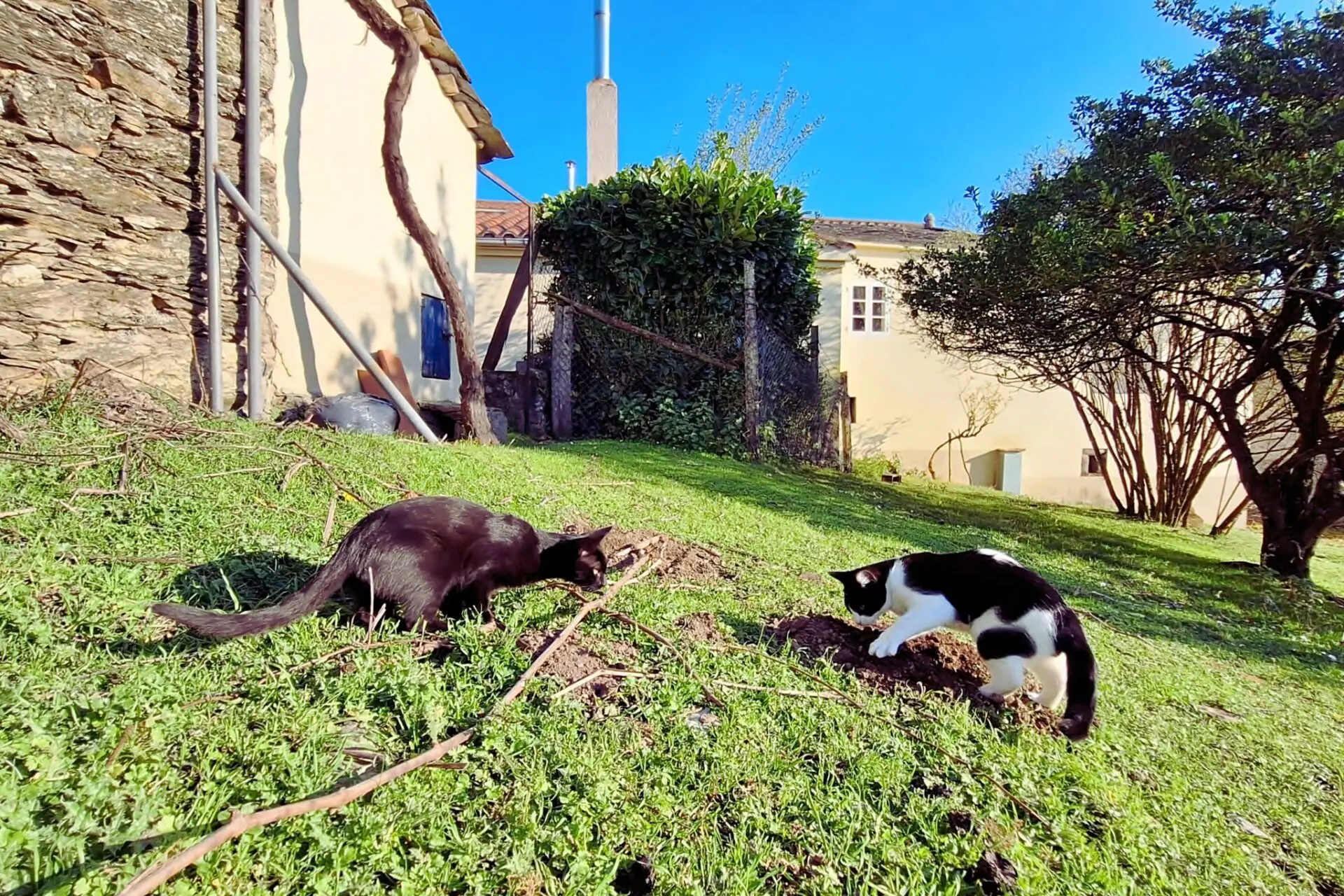 The Media Machine and the Art of Looking Away