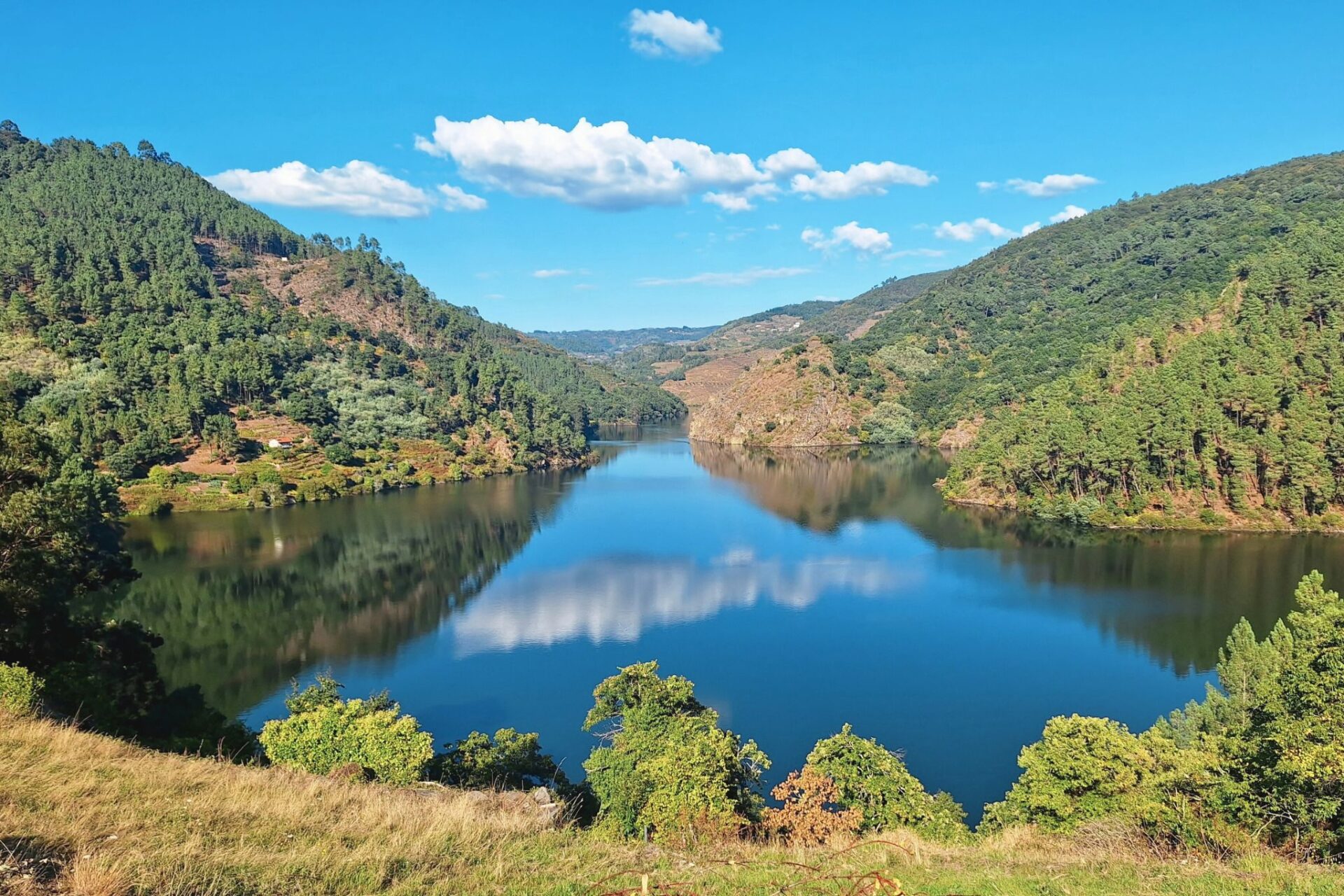 Five Cardinal Principles for Surviving Crypto